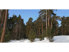 IMG 20210306 113825.jpg