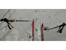 IMG 20210306 110420.jpg