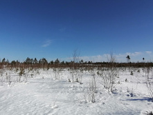 IMG 20210328 090626.jpg