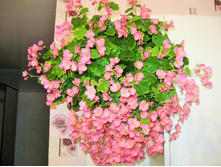 24 ������� ����� �� ������.jpg