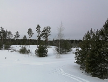 IMG 20210307 095621.jpg