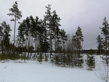 IMG 20210320 112634.jpg