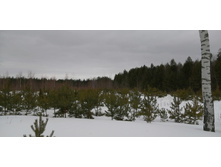 IMG 20210320 131202.jpg