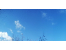 IMG 20210320 153312.jpg