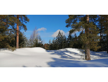 IMG 20210308 104732.jpg