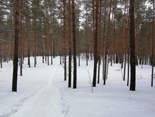 IMG 20210314 105754.jpg