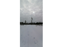 IMG 20210228 120132.jpg