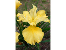 ���� ��������� ���� �� ���-98,70 �������� 1��.jpg