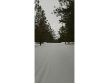 IMG 20210320 104433.jpg