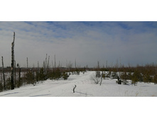 IMG 20210321 101643.jpg