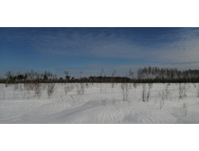 IMG 20210321 094712.jpg