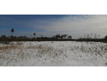 IMG 20210321 095111.jpg