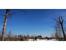 IMG 20210321 103508.jpg