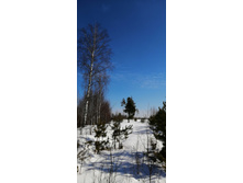 IMG 20210321 104240.jpg