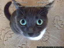 � ���� ����� ... � �������� ���� ... �� ... ������ ... ������� ���� ���������!