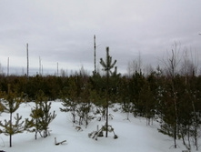 IMG 20210320 115246.jpg