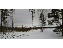 IMG 20210320 114411.jpg