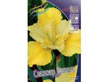 ���� ��������� ������ ������-74���.jpg