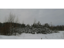 IMG 20210228 111917.jpg