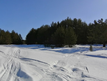 IMG 20210327 095057.jpg