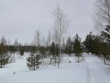 IMG 20210314 115934.jpg