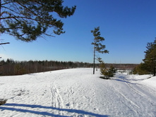 IMG 20210328 084958.jpg