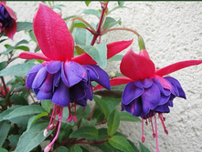 37 Winston Churchill.jpg