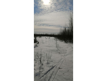 IMG 20210321 100406.jpg