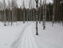 IMG 20210314 115109.jpg