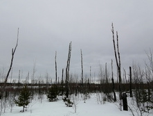 IMG 20210320 123328.jpg