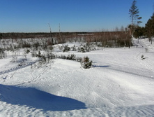 IMG 20210328 085212.jpg