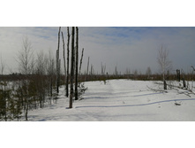 IMG 20210321 101224.jpg