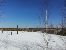 IMG 20210321 102051.jpg