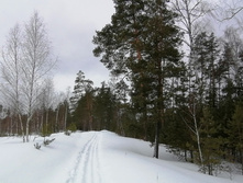 IMG 20210314 111530.jpg