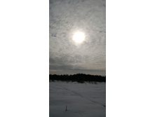 IMG 20210321 094031.jpg