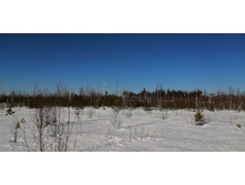 IMG 20210328 090821.jpg