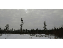 IMG 20210228 120007.jpg