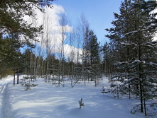 IMG 20210308 105837.jpg