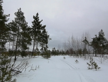 IMG 20210320 114312.jpg