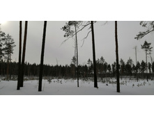 IMG 20210307 095259.jpg