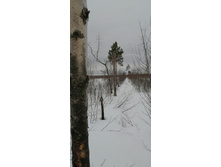 IMG 20210320 122231.jpg