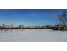 IMG 20210321 093847.jpg