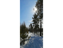 IMG 20210321 104248.jpg