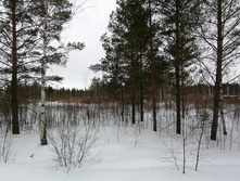 IMG 20210320 110412.jpg