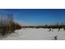 IMG 20210321 100428.jpg