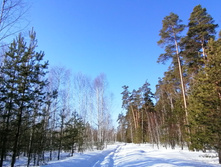 IMG 20210328 082755.jpg