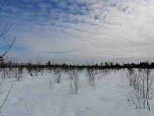 IMG 20210321 093312.jpg