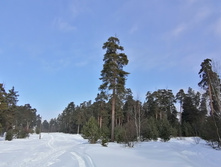 IMG 20210306 113421.jpg