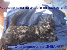 ������� ���� �� ������ �� ��������! ��� �������� �� ������!