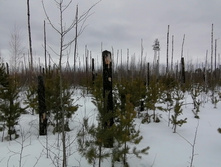 IMG 20210320 123633.jpg